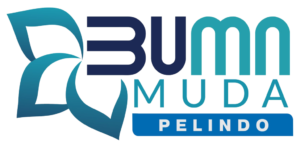 BumnMuda-300x148